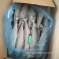 Frozen Mackerel Whole Round 400-500 Scomber Japonicus